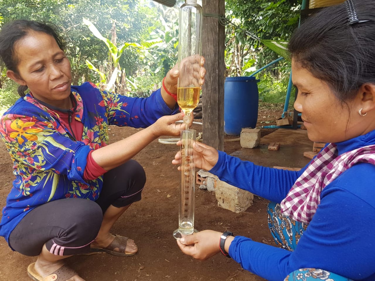 huile essentielle de citronnelle cambodgienne