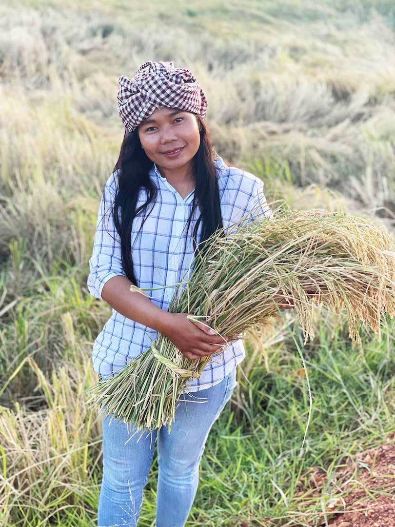 model partner program sustainable lemongrass oil from Tataileu in Cambodia